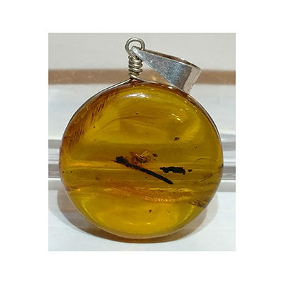 Dije De Ámbar Con Insecto Y Plata 3.50 Gramos